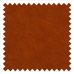 Maison Belfort Fauteuil Sweetwater - Cognac | Fauteuil 1 place en cuir de qualité supérieure -Pas Cher Fauteuils Magasin 1000015148 200619 15172900011 DETAILS P000000001000015148