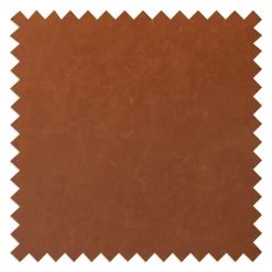 Fredriks Fauteuil Montola I - Fauteuil 1 place en Imitation Cuir Cognac avec Accents Chromés -Pas Cher Fauteuils Magasin 1000015837 211007 121227000067 DETAILS P000000001000015837