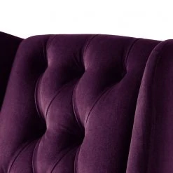 Maison Belfort Fauteuil à oreilles Luro en Velours - Confort Élégant pour Votre Salon -Pas Cher Fauteuils Magasin 1000117561 190712 10052500005 DETAILS P000000001000117561
