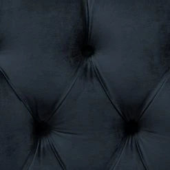 Fauteuil Lowen I Norrwood - Velours Ravi Bleu Foncé - Confort et Élégance -Pas Cher Fauteuils Magasin 1000185035 190903 16060401688 DETAILS P000000001000185035