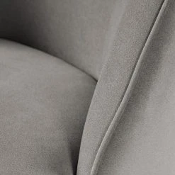 Ridgevalley Fauteuil Voiteur - Microfibre Sela Gris, Fauteuil 1 Place Confortable et Élégant -Pas Cher Fauteuils Magasin 1000227385 210408 16015900201 DETAILS P000000001000227385